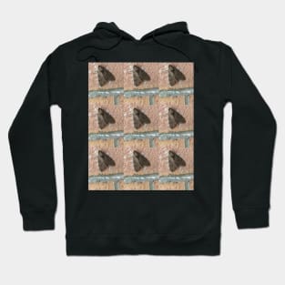 moths Hoodie